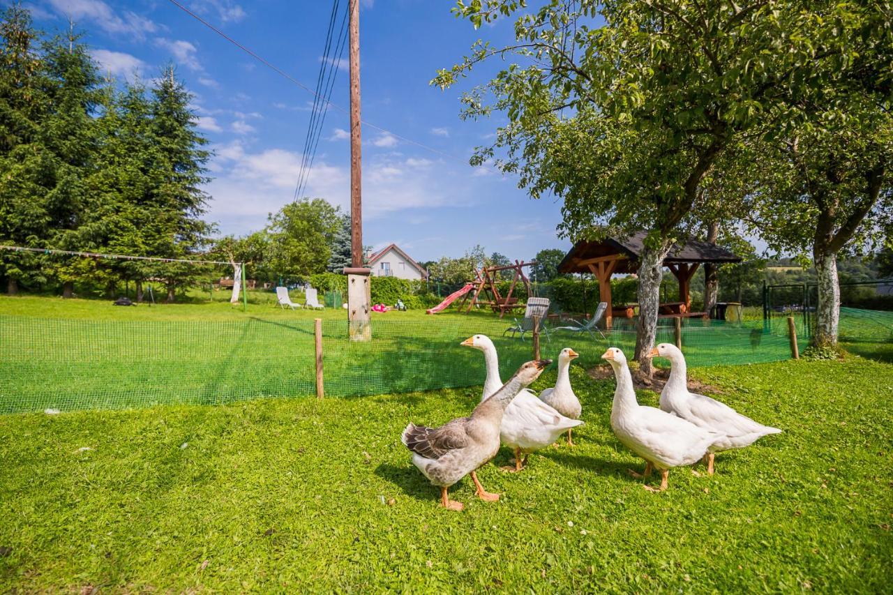 Vila Bieszczadzki Krakowiak 575-894-584 Lub 535-595-732 Polańczyk Exteriér fotografie
